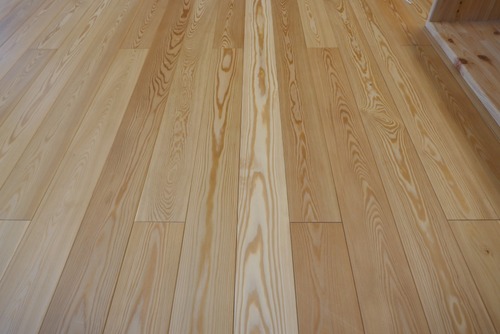 ԥ奢顼̵ʪե󥰡ץߥ졼 룱