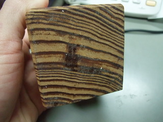 ���������Ƥ���������