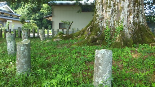 ���֤Υϥ������䣲��