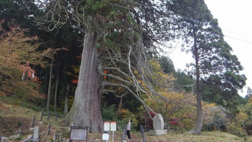 �ڻ����祹������