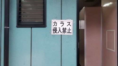 »Ô¾ì¡¡£±