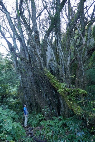 ���Ĥ��礫�Ĥ飵