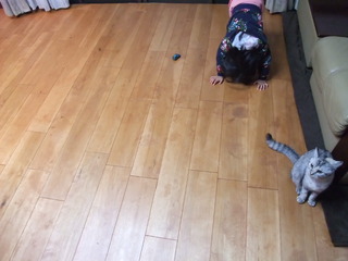 ��������С����ʳ򡦤��С˥ͥ����åɥ��졼�ɡ�Nš��