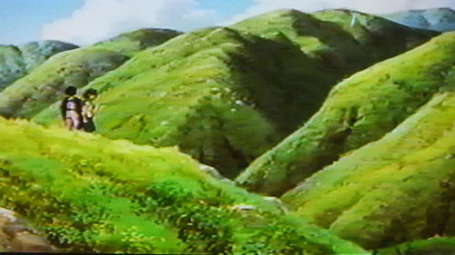 ��ΤΤ�����