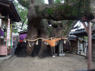 ·°³¸¾À¡¡£µ