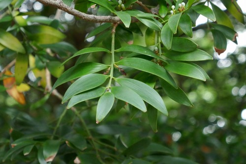 ����®����ҤΥʥ�����ˡ�9