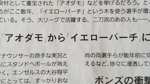 ��������ФΥХåȣ�