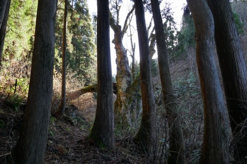 ���Ĥλҥȥ��Υ���