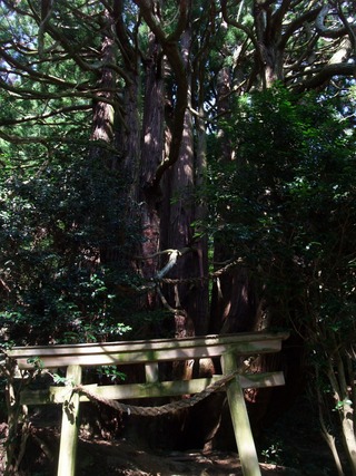 �������ܿ�������