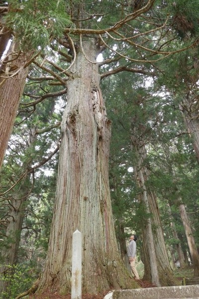 ¹Å縩¾±¸¶»Ô ·§Ìî¿À¼Ò¤ÎÏ·¿ù¡Ê¤í¤¦¤µ¤ó¡Ë¤È¿ùÂç¼ù·²£³