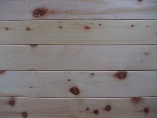 �������������ġ�V����