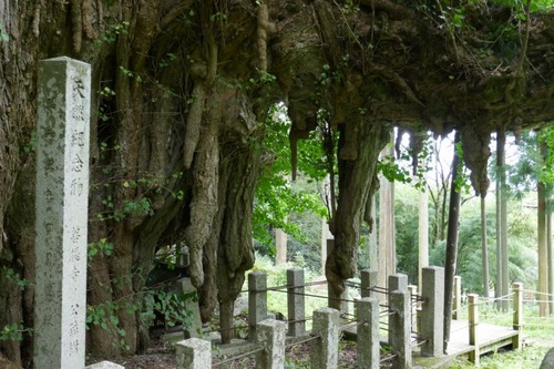 ������Υ����祦������