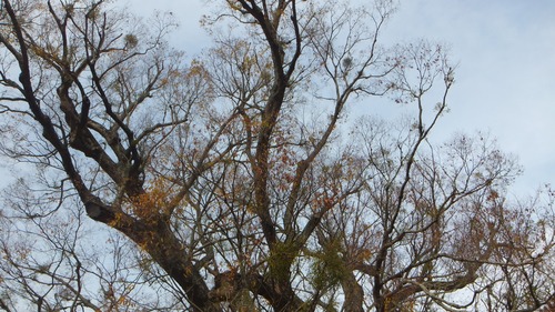 ��֤��祱�䥭�����С�����󡡣�