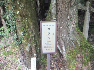 �г��ηˡ���