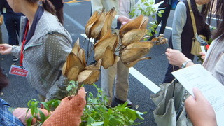 µþÂçõˬÌÚ¡¡£³