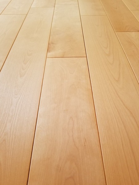 ��������С�������̵���Ĥʤ���V�¥ե�����󥰡��ץ�ߥ�����