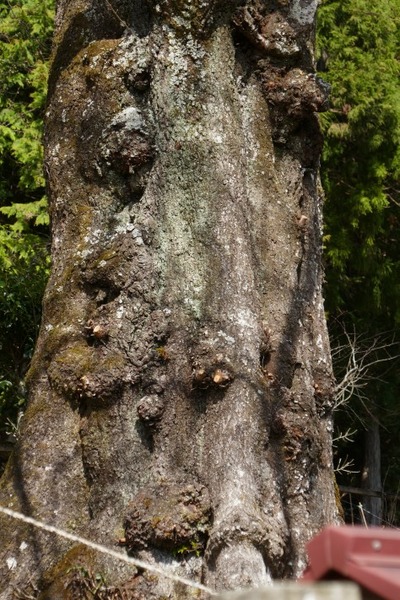 ���奶���� 6