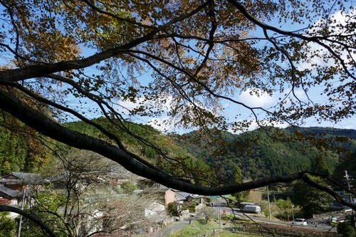 �����ƽФΥ��ĥ顡����