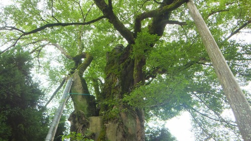 ���������९��