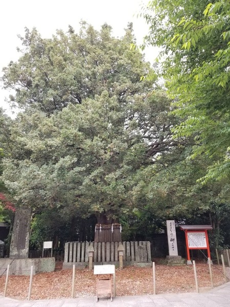 ����®����ҤΥʥ�����ˡ���