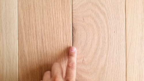 ������ �졦�ޡ��֥�����̵������ʪ�ե������ ���쥯�����