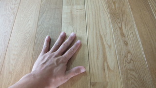 ¥ê¥Õ¥ê¡¼¥ª¡¼¥¯¡¡£±£²