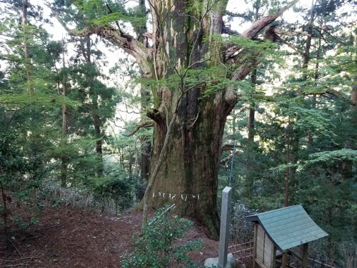 ��Ǹ������