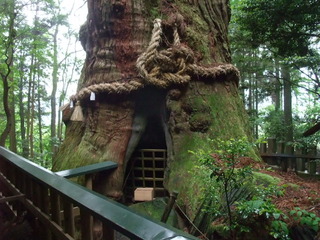 ÂçµÏ¼Ò¤ÎÂç¿ù 3