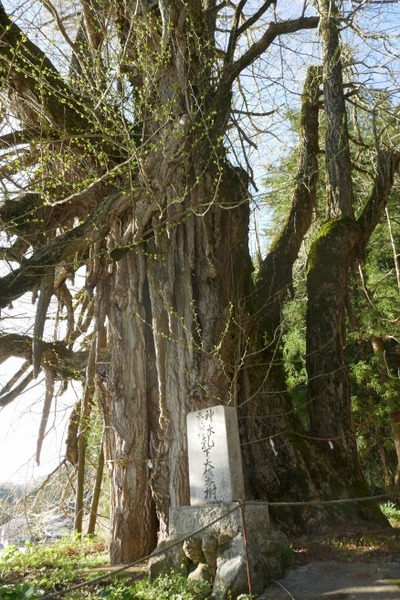 ���縩������ �����������ꥤ���祦8