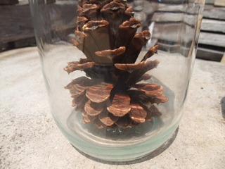 ���ܤä���ޥ��å�����