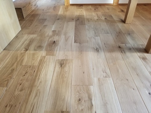 ����������������̵���ե������ �ͥ����åɥ��졼�ɡ�����