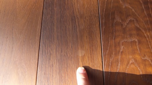 ¥¨¥¤¥ó¥·¥§¥ó¥È¥ª¡¼¥¯Éý¹Ìµ¹¤°ìËçʪ¥Õ¥í¡¼¥ê¥ó¥°¡¡£´