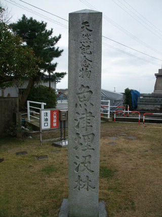 ËäË×ÎÓÇîʪ´Û£±£±