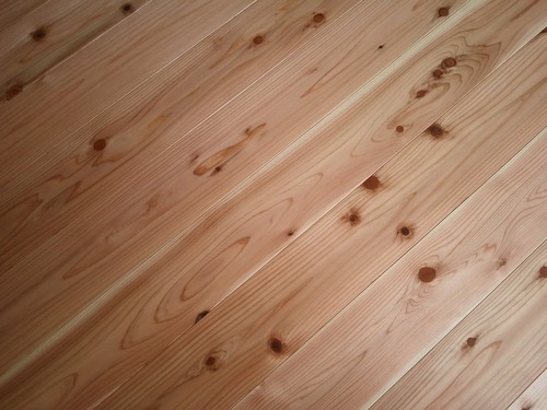 �������ե�����󥰡���