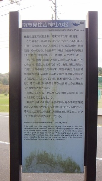 ��ָ����ȿ��Ҥξ���