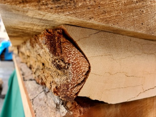 �ϥ�̵�����ģ�