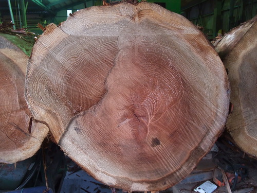 ���ե�����󥰸��ڴ���