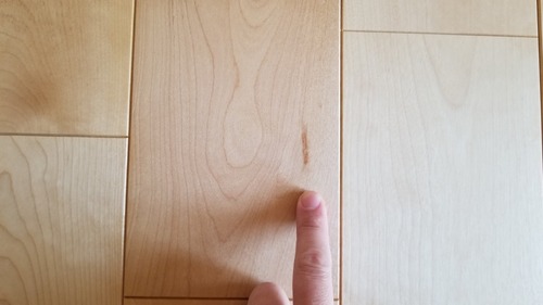 ��������С�������̵���Ĥʤ���V�¥ե�����󥰡��ץ�ߥ���8