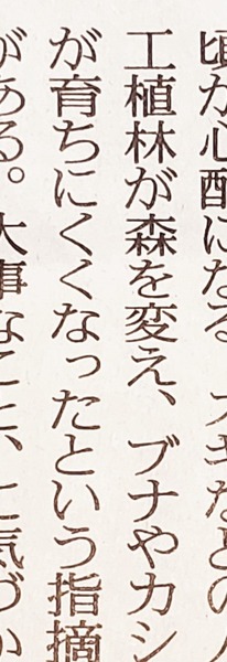 ¥¯¥Þ½ÐËפε»ö