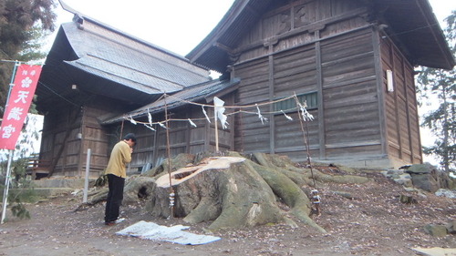 Ĺ�¿��ҤΥ��䥭Ȳ��