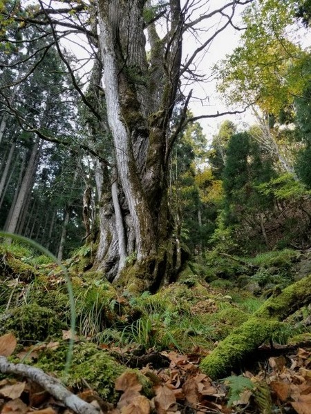 ʼ�˸������ ����祫�ĥ� 9