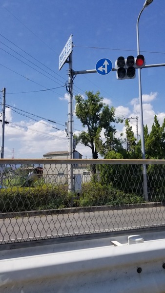 ����21���ﳲ��