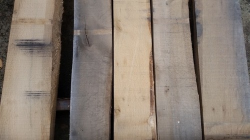 ���ܤ���ʤʤ�˴���̵���ࡡ��