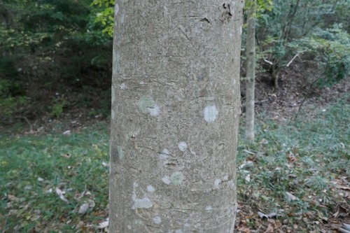 ���ܤι��ռ� ���ѡʤ��̤ۤ���̵������̵������ʪ�ե������7