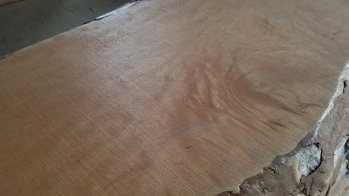 ÈIJ°Éö°ìËçÈÄ