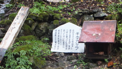 ��Ű�����ܷˣ�