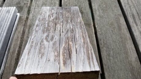 �������죶