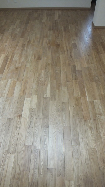 ¥«¥¹¥¯¥ª¡¼¥¯¾²ÃÈS¡¡5