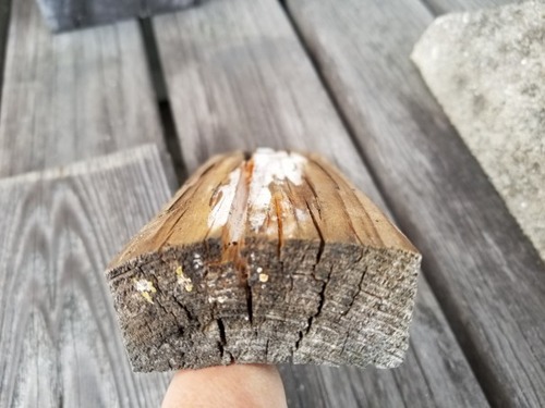 £²Ç¯È¾¸å¡¡£±£³