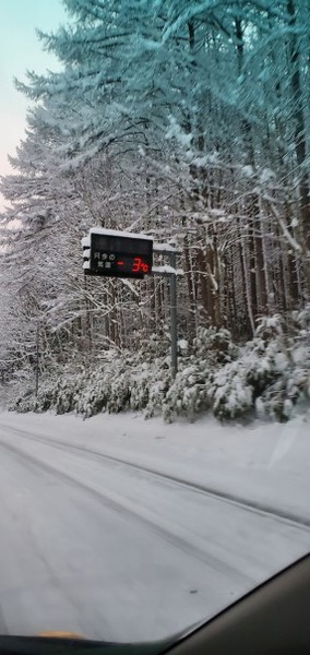 ��׼���־�����Ƥ롢�����͡���������2025-1